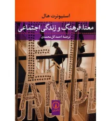 کتاب معنا،فرهنگ و زندگی اجتماعی