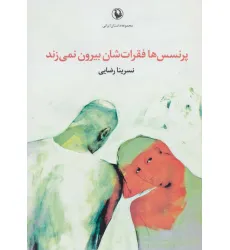 کتاب پرنسس ها فقرات شان بیرون نمی زند (مجموعه داستان ایرانی)