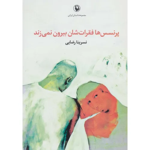کتاب پرنسس ها فقرات شان بیرون نمی زند (مجموعه داستان ایرانی)