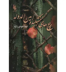 کتاب پیچ های خشکیده امین الدوله