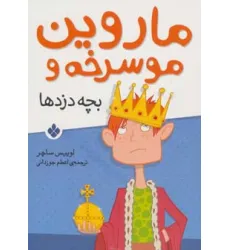 کتاب ماروین مو سرخه و بچه دزدها