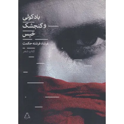 کتاب باد کولی و گنجشک خیس (کتاب شعر)