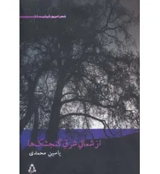 کتاب از شمال شرق گنجشک ها (شعر امروز ایران11) کتاب از شمال شرق گنجشک ها (شعر امروز ایران11)