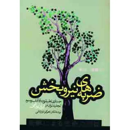 کتاب ضربه های نیروبخش (جستاری تطبیقی درباره آداب و رسوم تجدید توان در ایران و ژاپن)