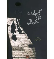 کتاب گم شده در خیال