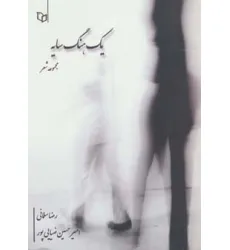 کتاب یک هنگ سایه (مجموعه شعر) کتاب یک هنگ سایه (مجموعه شعر)
