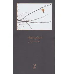 کتاب در شب دیرند