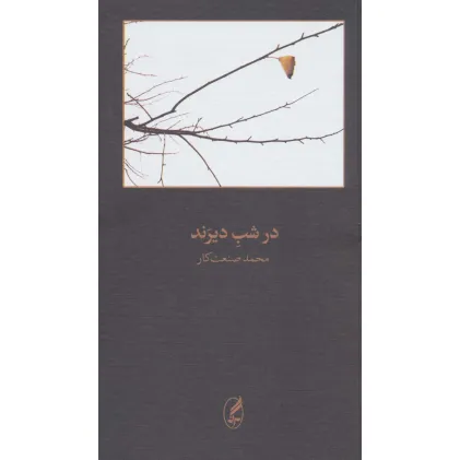 کتاب در شب دیرند