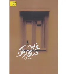 کتاب غریبه در بخار نمک