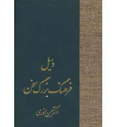 کتاب ذیل فرهنگ بزرگ سخن