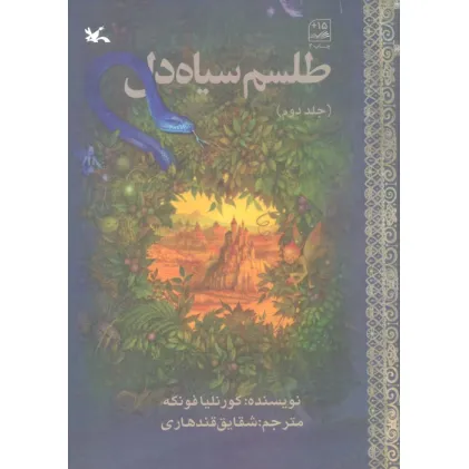 کتاب طلسم سیاه دل 2