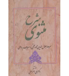 کتاب شرح مثنوی 5 کتاب شرح مثنوی 5