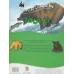 کتاب 100 حقیقت درباره ی خرس ها (گلاسه)