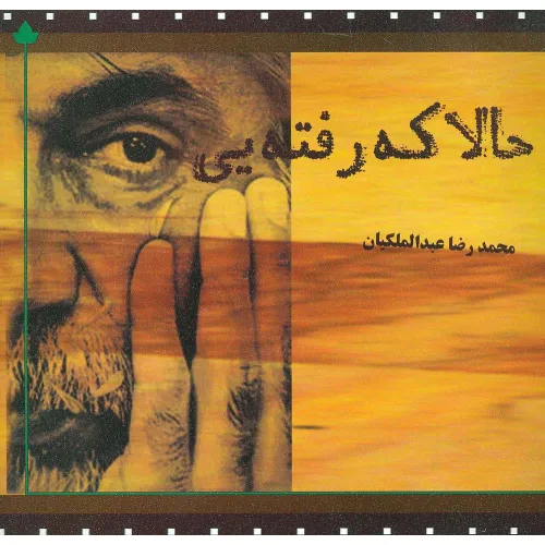 کتاب حالا که رفته یی