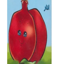 کتاب میوه ها را بشناسیم (انار)