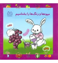 کتاب مجموعه میوه ها و رنگ ها را بشناسیم