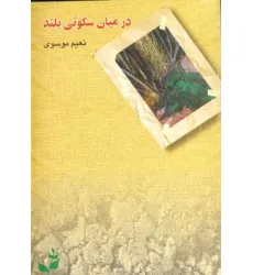 کتاب در میان سکوتی بلند کتاب در میان سکوتی بلند