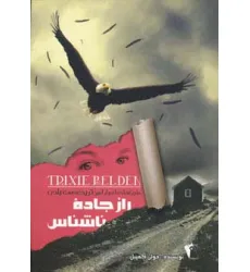 کتاب راز جاده ناشناس (ماجراهای اسرار آمیز تریکسی بلدن)