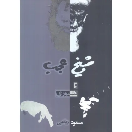 کتاب شیخ عجب و تنبوری
