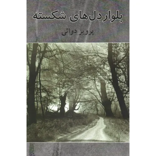 کتاب بولوار دل های شکسته