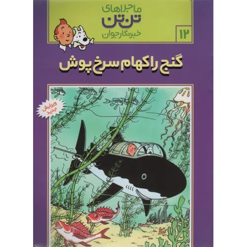 کتاب ماجراهای تن تن خبرنگار جوان12 (گنج راکهام سرخ پوش)،(کمیک استریپ)