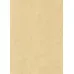 دفتر یادداشت بی خط I AM PAPER (گرافت طلاکوب،کد 995) دفتر یادداشت بی خط I AM PAPER (گرافت طلاکوب،کد 995)