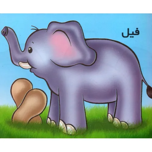 کتاب فیل (گلاسه)