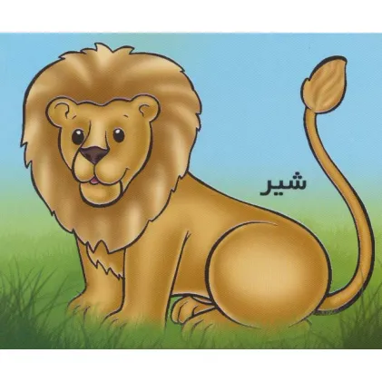 کتاب حیوانات را بشناسیم (شیر)،(گلاسه)