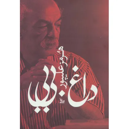 کتاب داغ بی بی