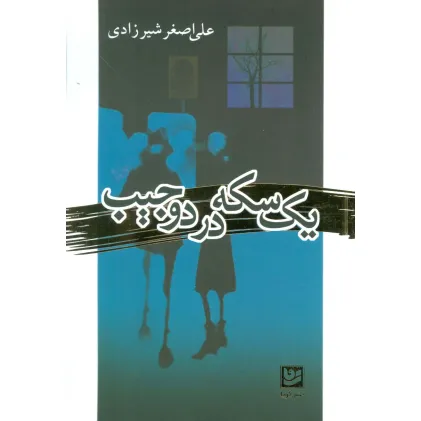 کتاب یک سکه در دو جیب