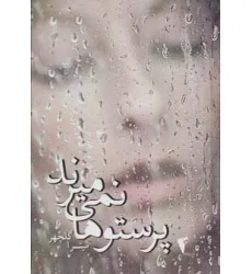 کتاب پرستوها نمی میرند