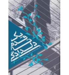 کتاب یک قدم تا دلدادگی
