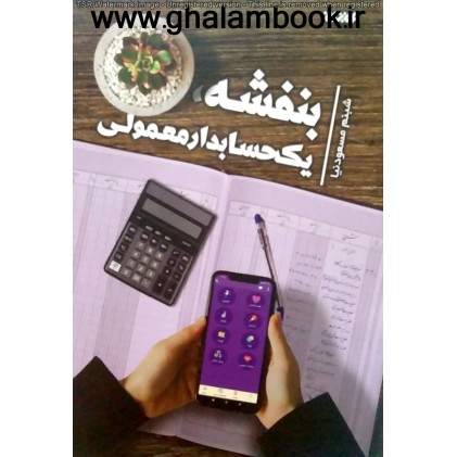 کتاب بنفشه, یک حسابدار معمولی