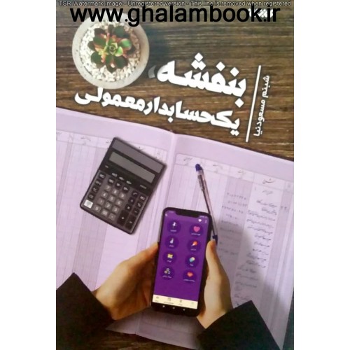کتاب بنفشه, یک حسابدار معمولی