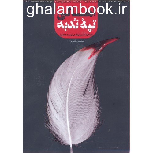 کتاب اهالی تپه ندبه