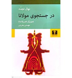 کتاب در جستجوی مولانا 
