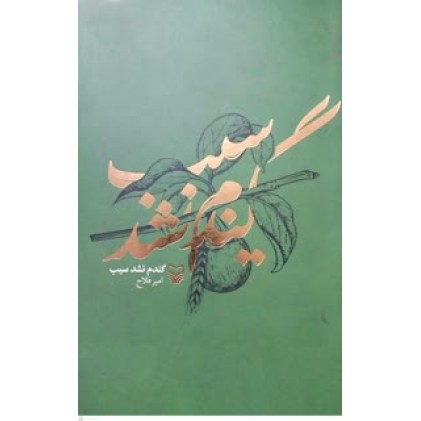 کتاب گندم نشد سیب